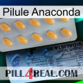 Anaconda Pill 44